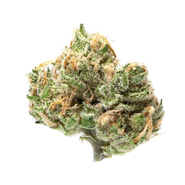 Island Sweet Skunk