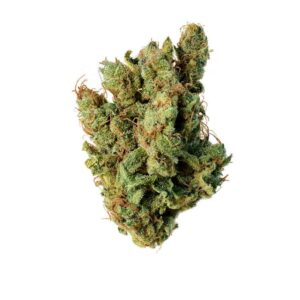 Strawberry cough strain