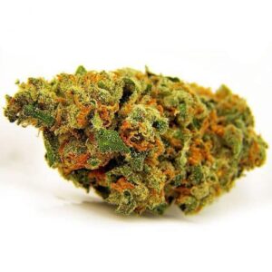 buy jack herer strain