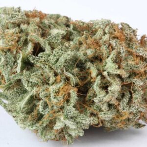 buy master kush online