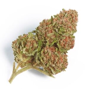 buy northern lights strain